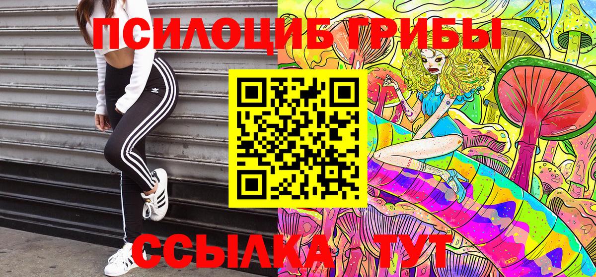 Галлюциногенные грибы прущие грибы Назрань