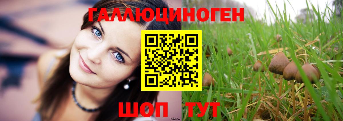 Галлюциногенные грибы Psilocybe  Вход с VPN  Назрань 